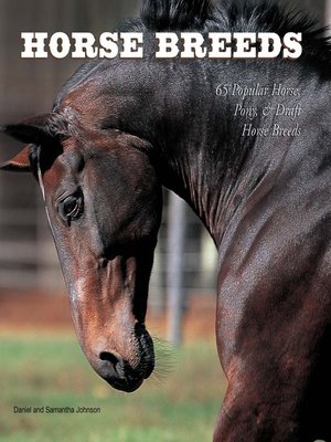 Horse Breeds - ebook